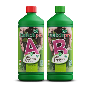 Plantas en fase vegetativa con tallos gruesos y follaje denso cultivadas con agua dura y Dutch Pro.