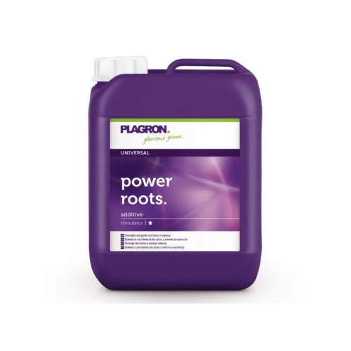 Raíces blancas, densas y sanas en una planta de cultivo tratada con Power Roots de Plagron.