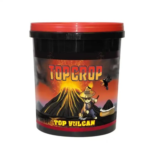 Top Vulcan