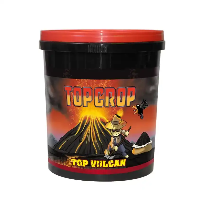 Top Vulcan