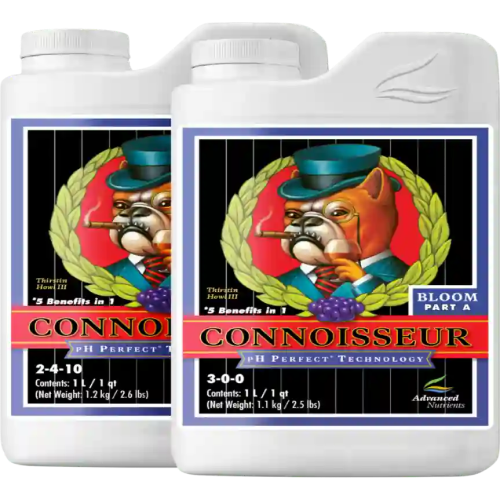 Cogollos densos y resinosos cultivados con la línea Connoisseur Bloom de Advanced Nutrients.