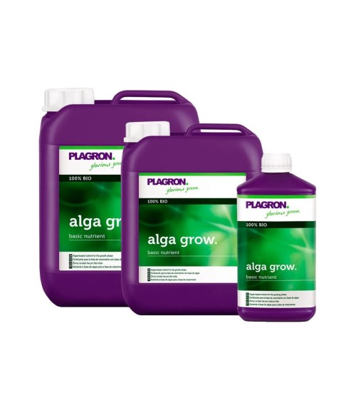 Cultivo orgánico en tierra con plantas vigorosas gracias al aporte de algas de Alga Grow.