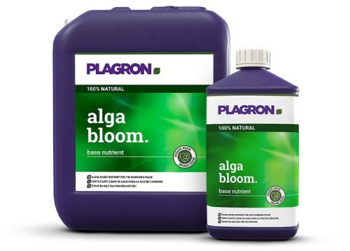 Formación de flores densas y resinosas en un cultivo tratado con la línea natural de Plagron.