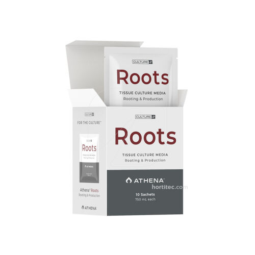athena-roots-culture-media-enraizamiento-laboratorio Medio de cultivo Athena Roots para la formación de raíces en cultivo de tejidos.