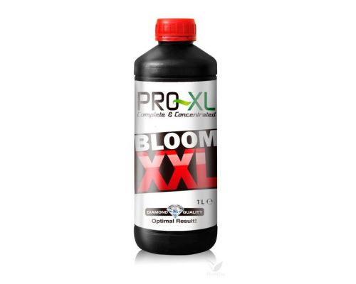 Bloom XXL Pro-xl