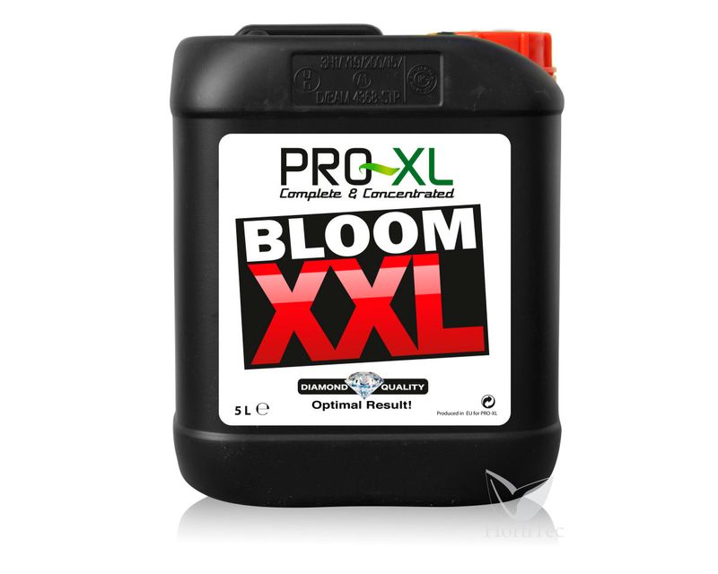 Bloom XXL Pro-xl