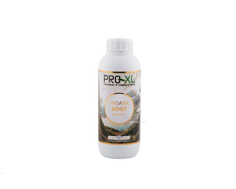 Detalle del desarrollo radicular en un sustrato orgánico utilizando Organic Root Energy de Pro-XL.