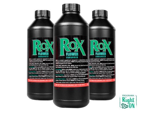 Cogollos compactos y resinosos tras la aplicación del potenciador Rox de Pro-XL.