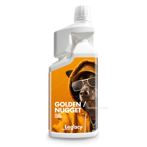 Golden Nugget Legacy