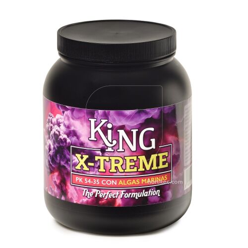 King X-Treme Trabe