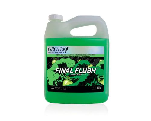 Flores listas para cosechar con colores limpios tras el uso de Grotek Final Flush.