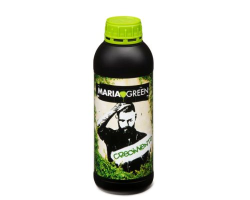 Plantas en fase vegetativa con tallos gruesos y hojas de un verde intenso gracias a Maria Green Grow.