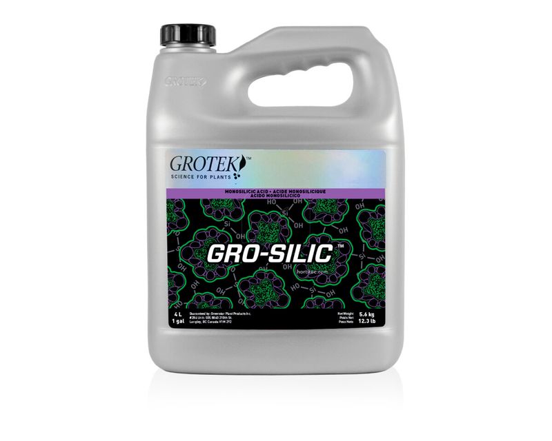 Detalle de una planta con hojas erguidas y tallos robustos gracias al uso de Gro-Silic.