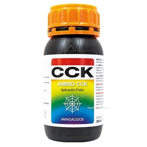 Amino CCK