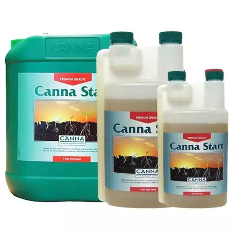 Pequeñas plántulas y esquejes con raíces blancas y hojas verdes gracias al uso de Canna Start.
