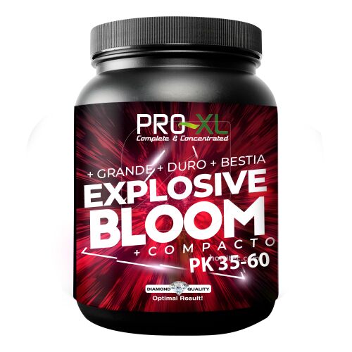 Explosive Bloom