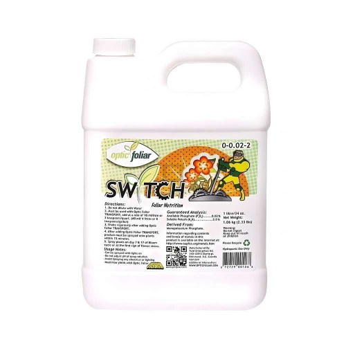 Aplicación foliar de Switch para asegurar una floración femenina sin semillas.