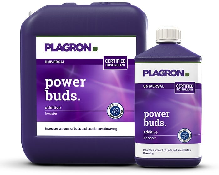Planta con múltiples puntos de floración activos gracias al uso de Power Buds