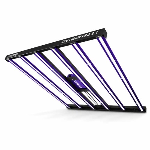 Zeus 600W Pro 3.1