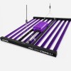 Zeus Xtreme 3.1 Lumatek