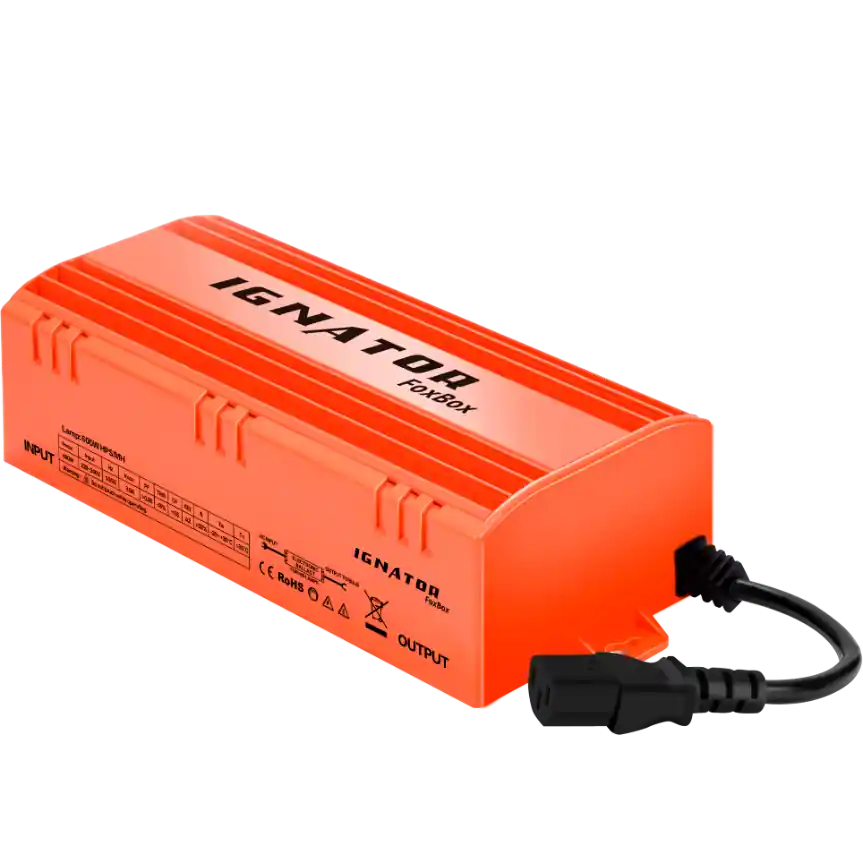 Balastro FoxBox 600W Ignator