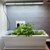 Meliflor KitchenGrow TLED