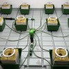 Kit completo Netadrip con distribuidores tipo pulpo y anillos de riego Q-Ring para cobertura total del sustrato.