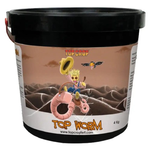 Top Worm