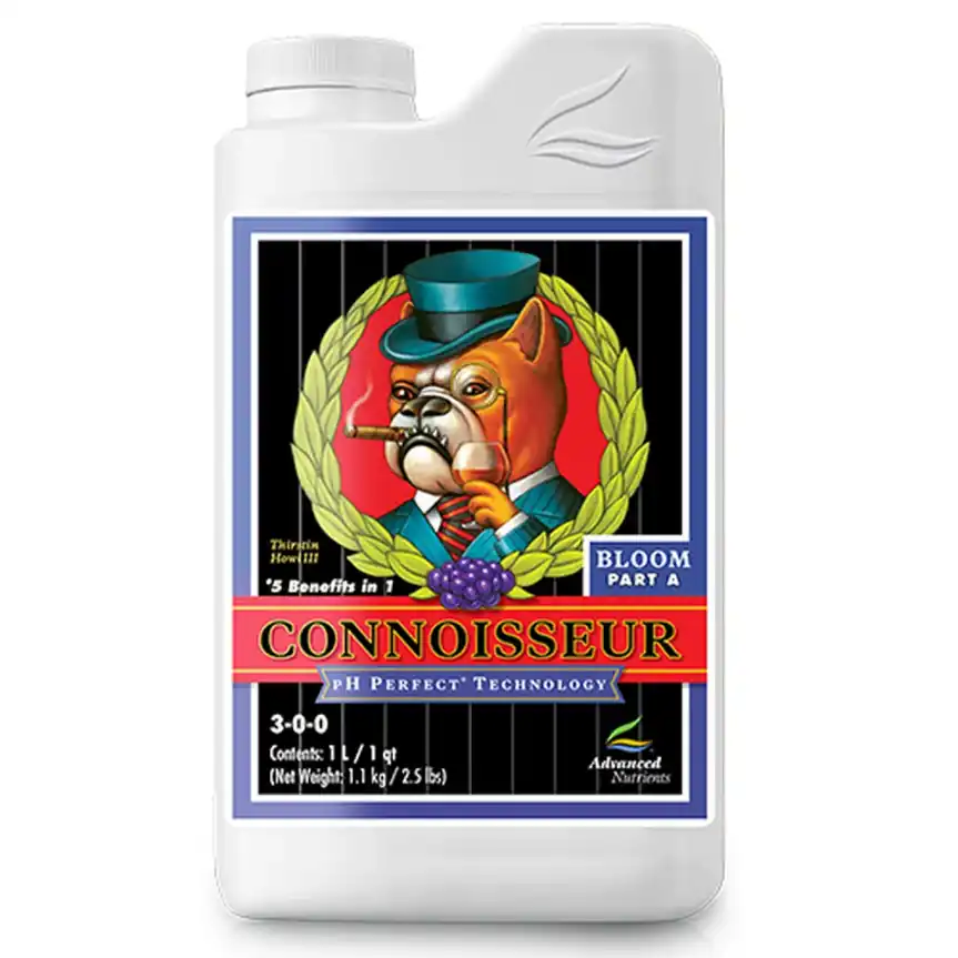 Connoisseur Bloom A