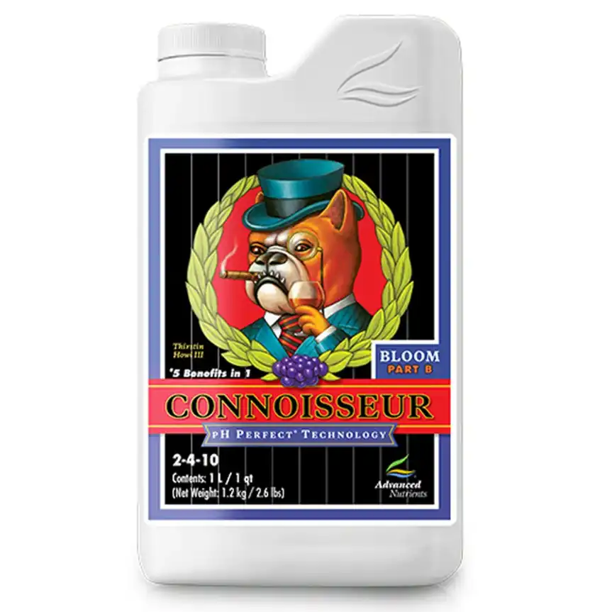 Connoisseur Bloom B