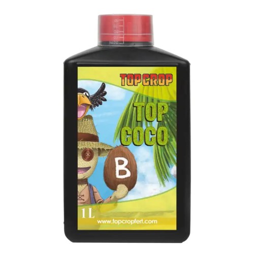 Top Coco B