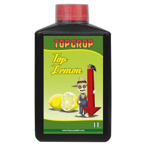 Top Lemon Top Crop